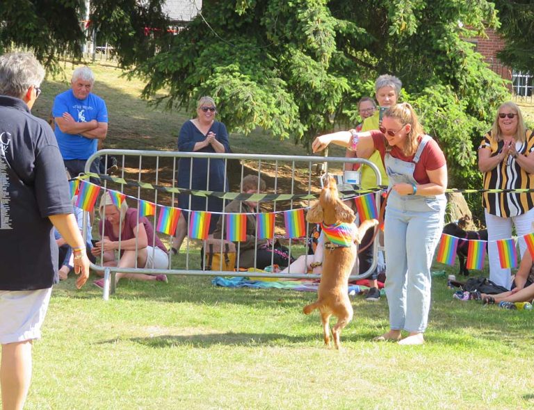 Dog Show tricks
